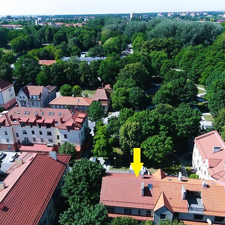 Cosy Park Apartment, Free Parking, Self-Check-In Kłajpeda Zewnętrze zdjęcie